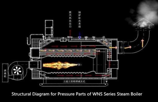 Het Warme waterboiler Met gas van drie Pas Industriële Stoomketels voor Farmaceutische Industrie